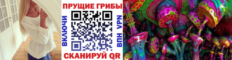 Псилоцибиновые грибы GOLDEN TEACHER  Купить закладки  Знаменск 