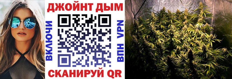 Купить закладки  Знаменск  Бошки марихуана сатива 